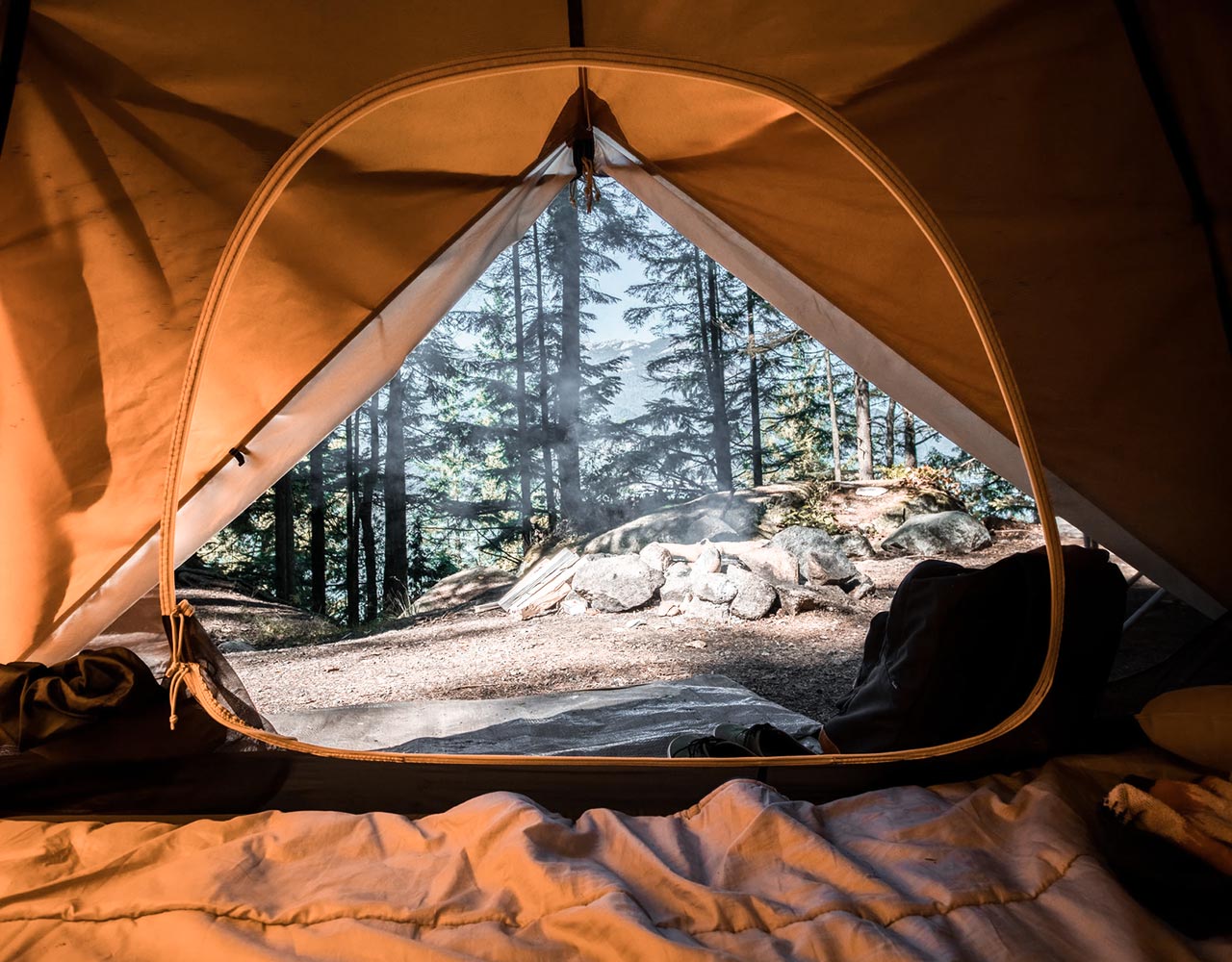 In hac habitasse platea